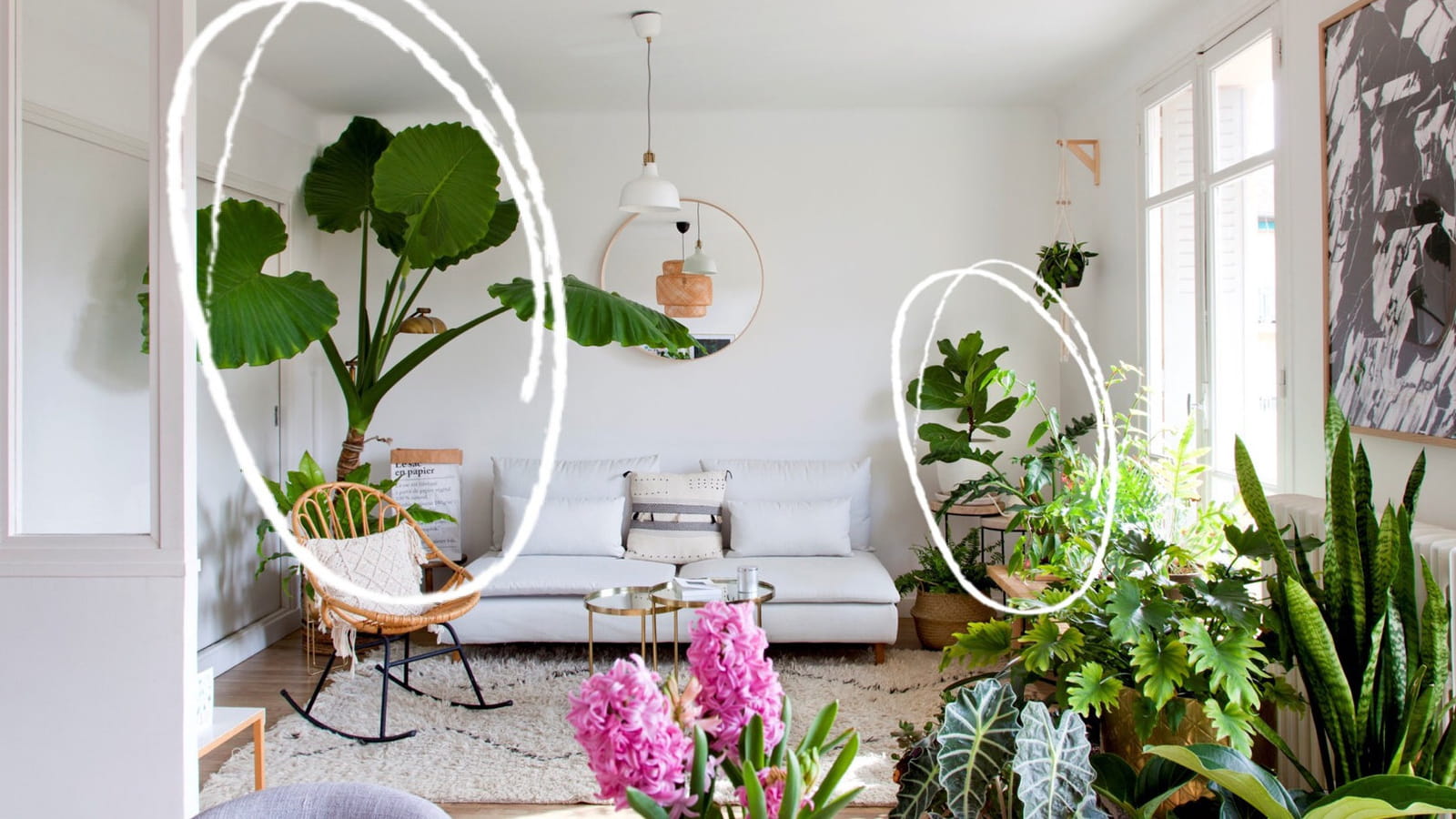 Plantes