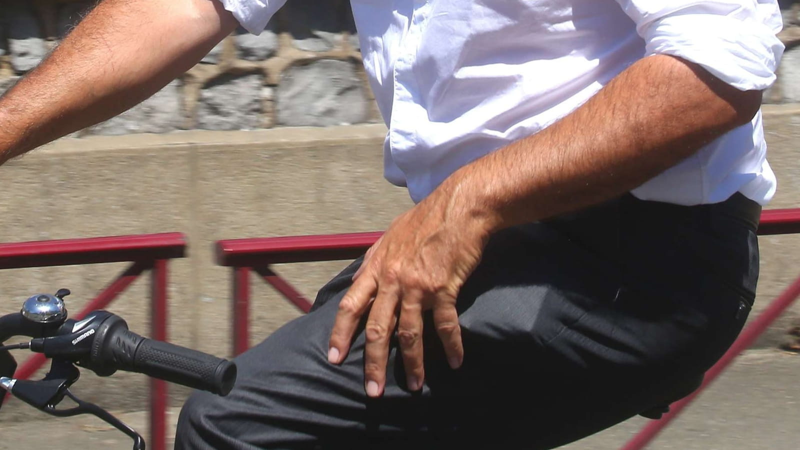 Stéphane Le Foll