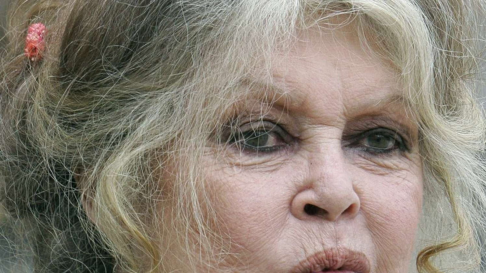 Brigitte Bardot