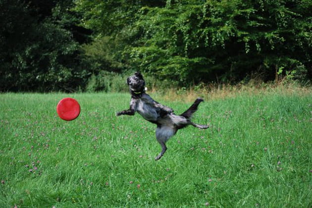 Des figures impressionnantes