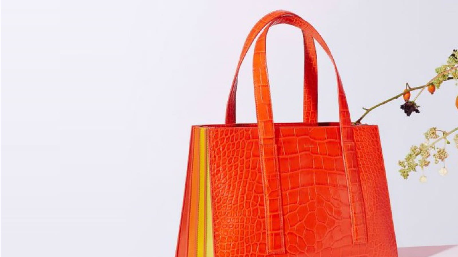 Sac Paul Smith
