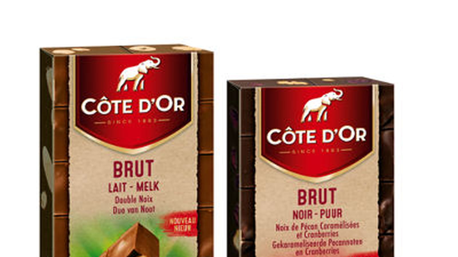 Tablettes Côte d'Or Brut 