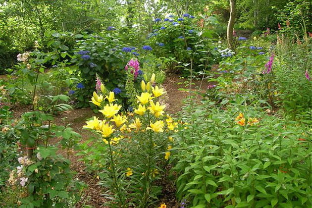 Pour le plaisir des yeux