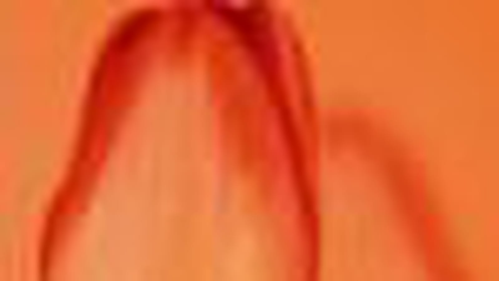 Tulipe Flame