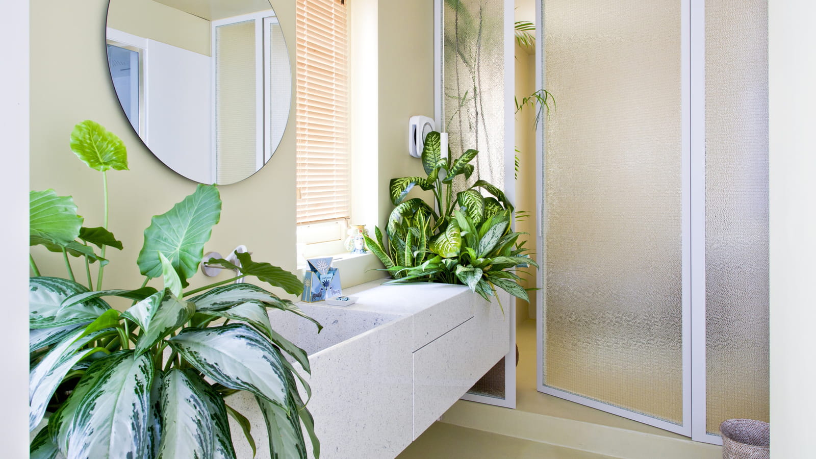 Salle d'eau green 