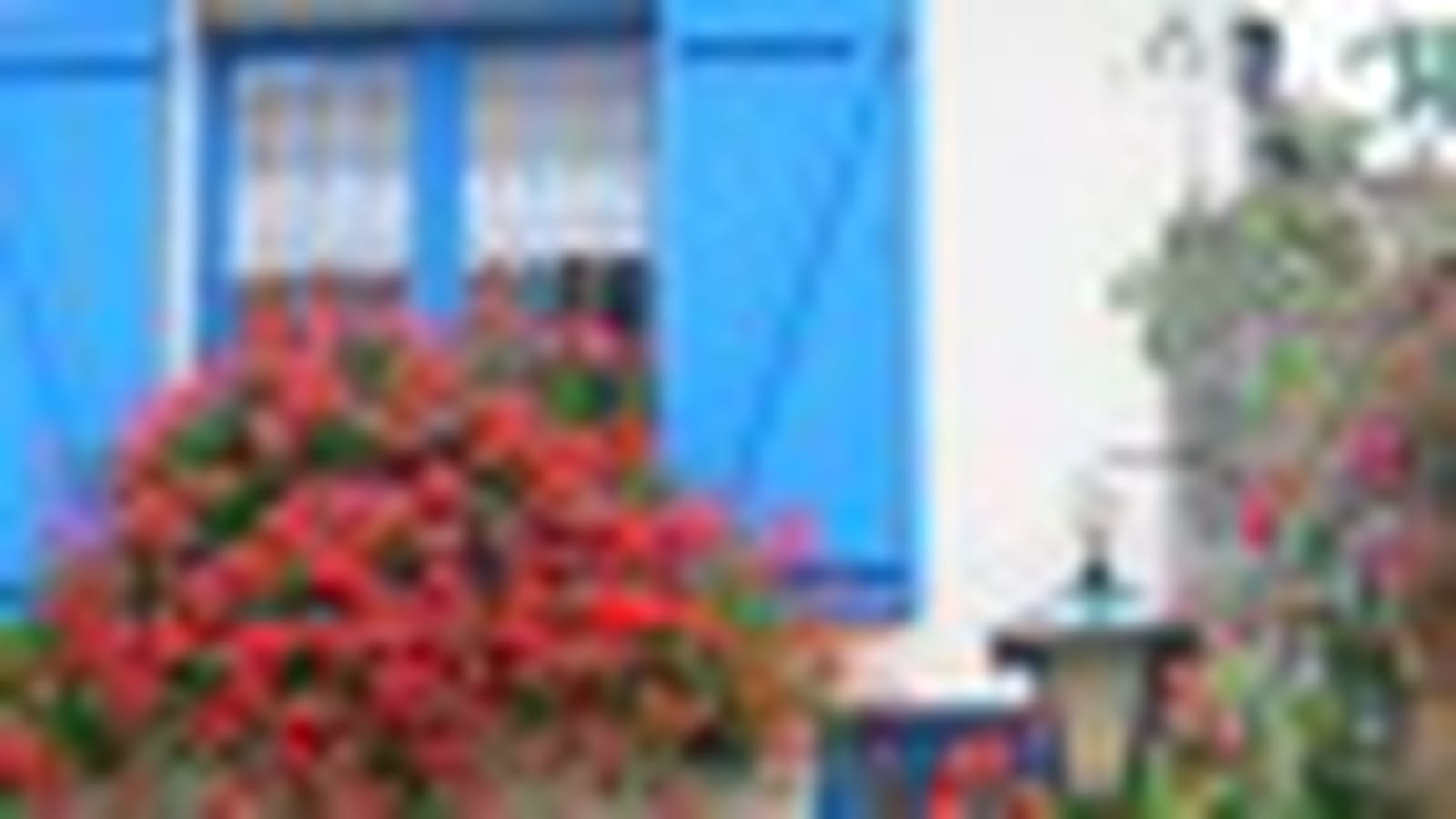 Jardin d'été