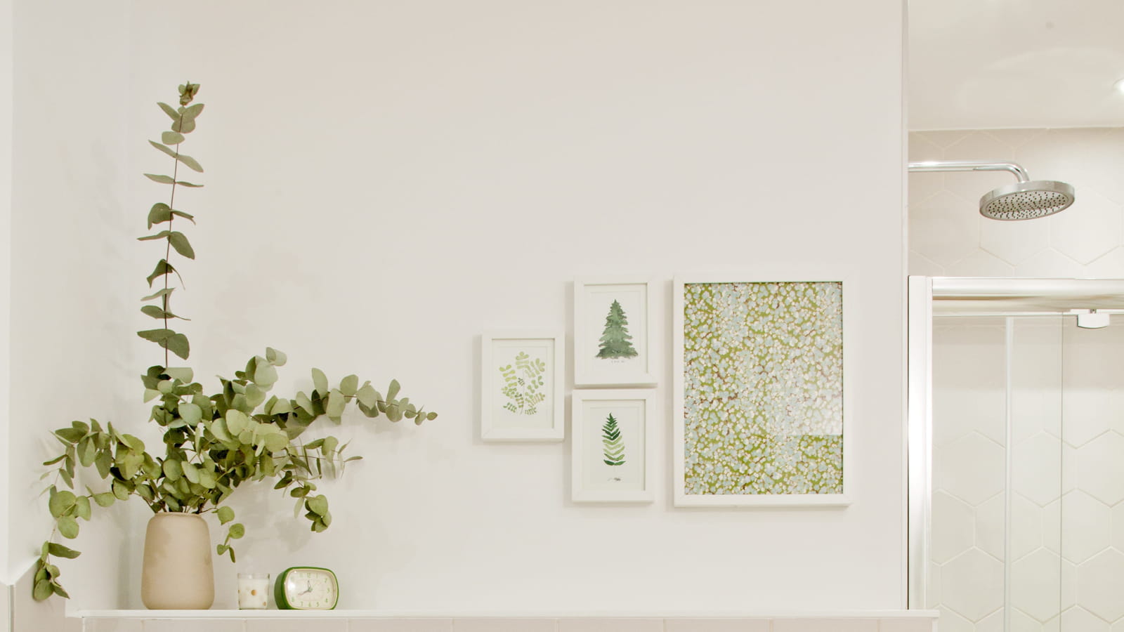 Plantes dans des paniers