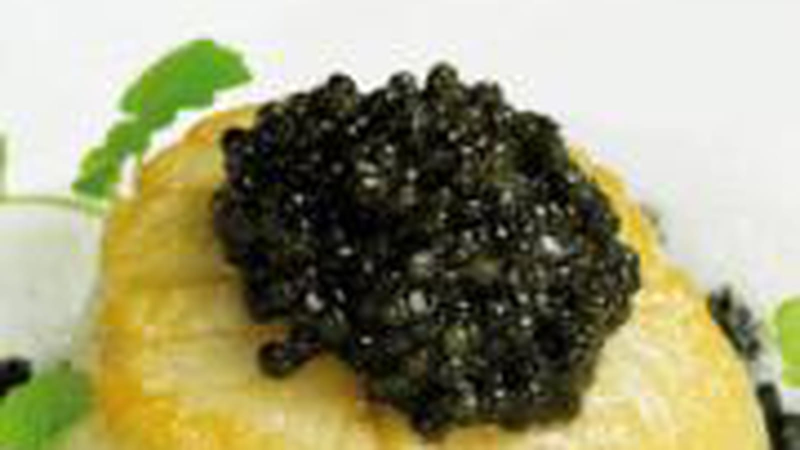 Saint-Jacques risotto caviar
