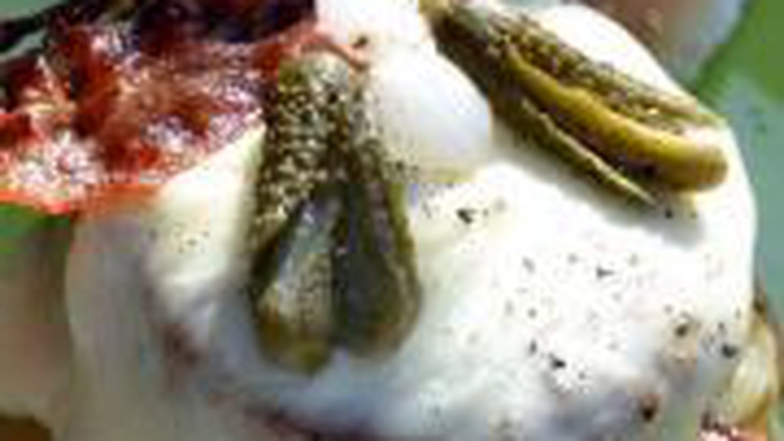 Hamburger raclette