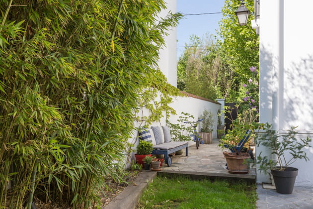 Cour de maison avec bambous