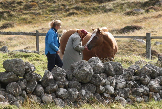 Un amour des chevaux sans borne pour Sa Majest&eacute; la Reine Elizabeth II
