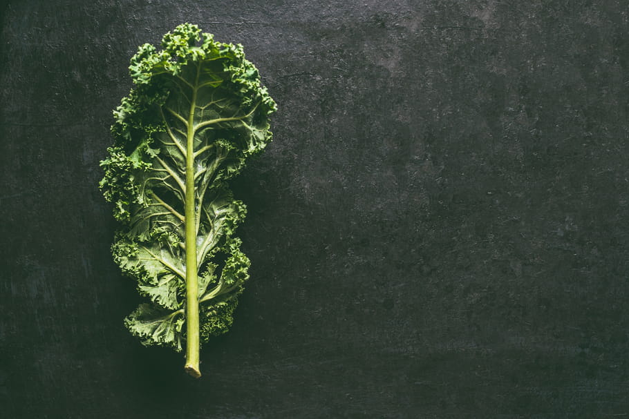 Chou kale : bienfaits santé, calories, quels dangers ?