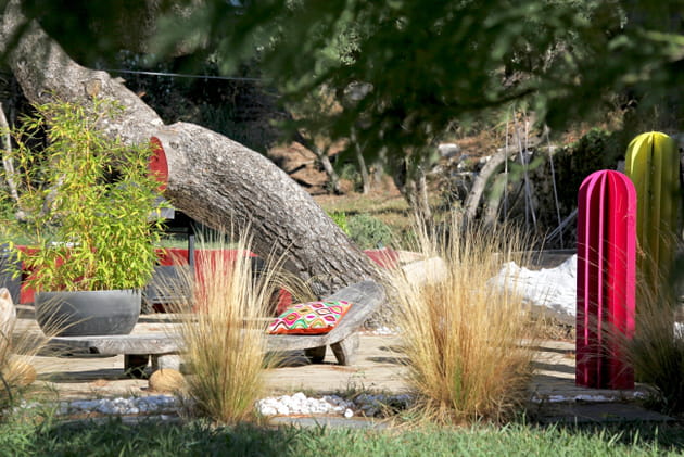Cactus métalliques colorés