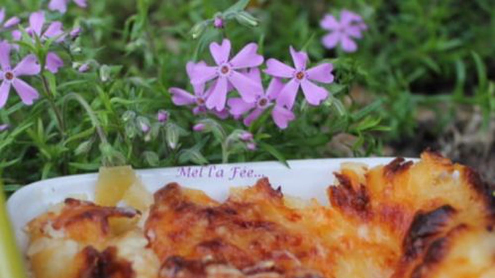Lasagne poulet et reblochon