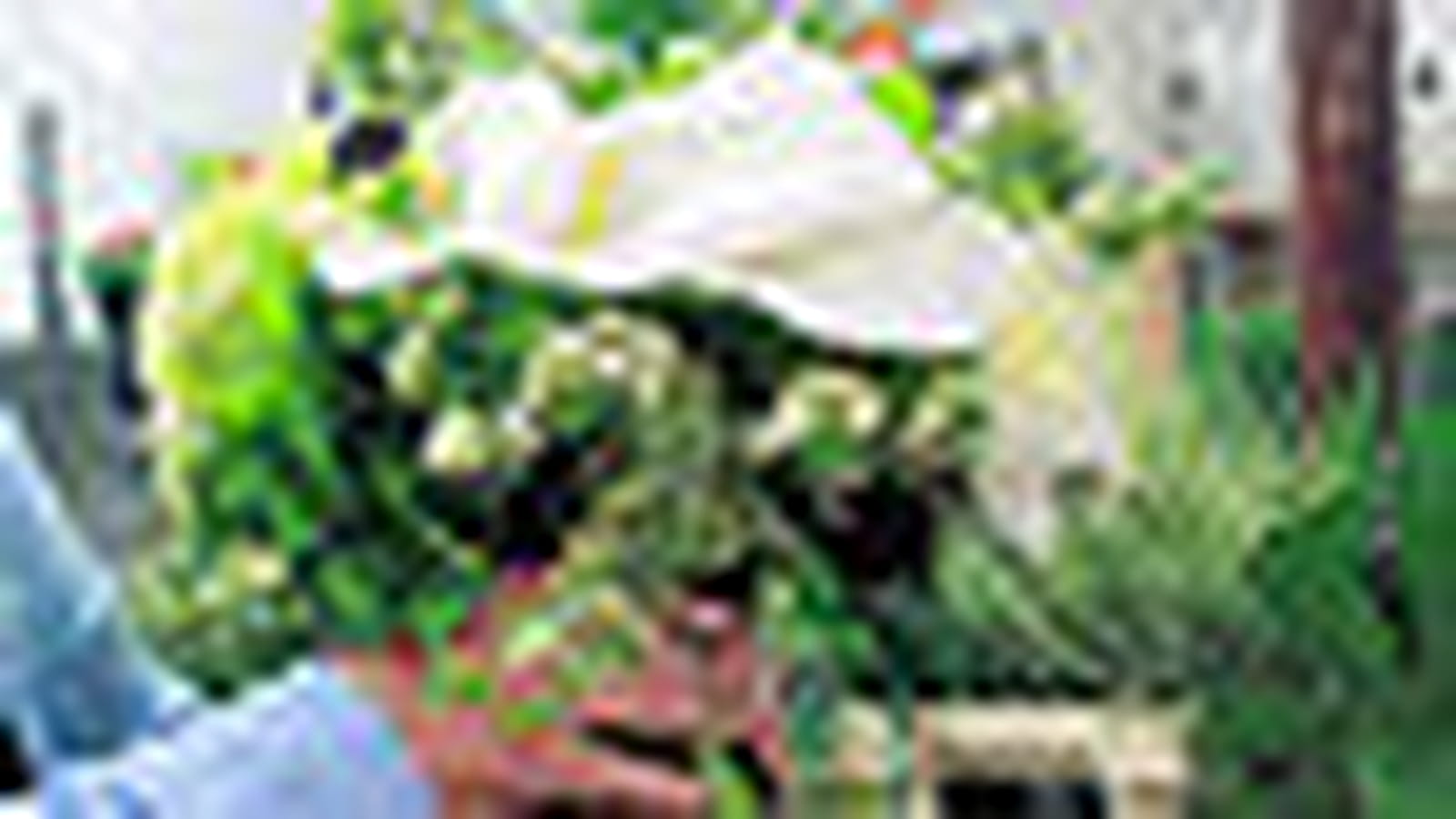 Bouquet à la main