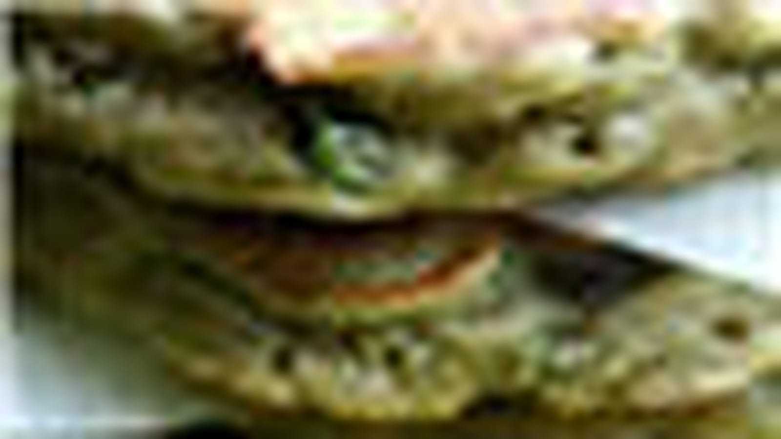 Pancakes au thé vert