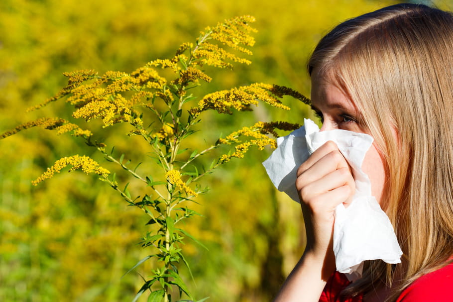 Pollens : attention aux allergies printanières !