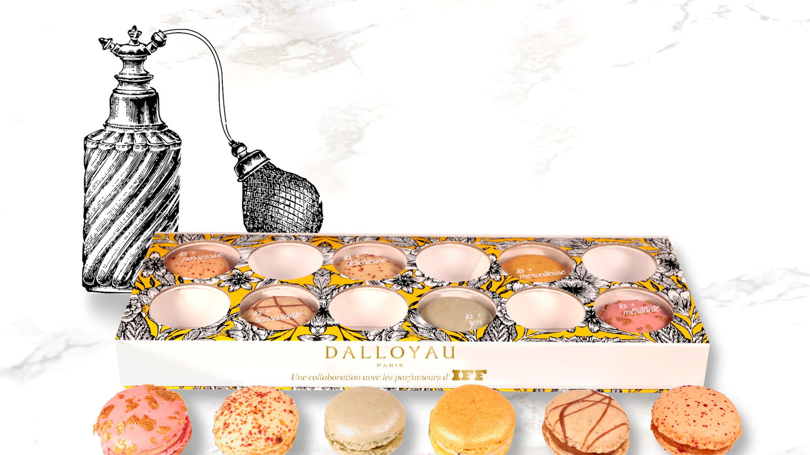 Coffret de macarons de Dalloyau
