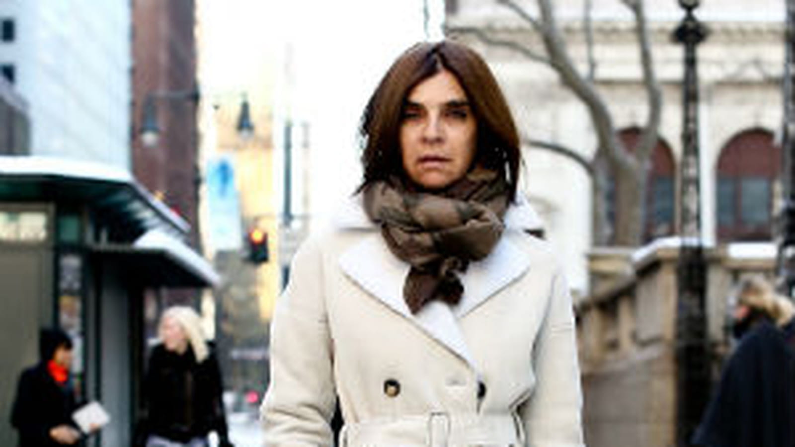 Carine Roitfeld