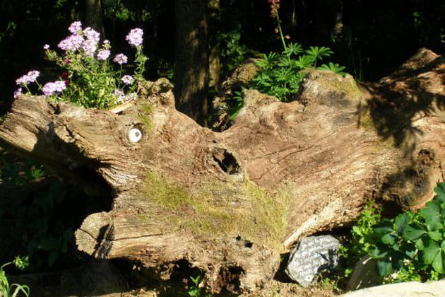 2 800 m² de bonheur