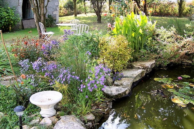 Le marais am&eacute;nag&eacute;