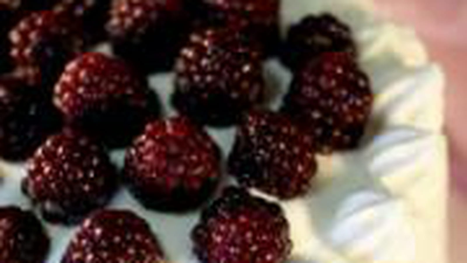 Chantilly et mûres sauvages