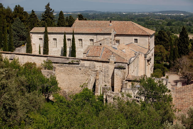 Visite des jardins remarquables de l'abbaye Saint-André