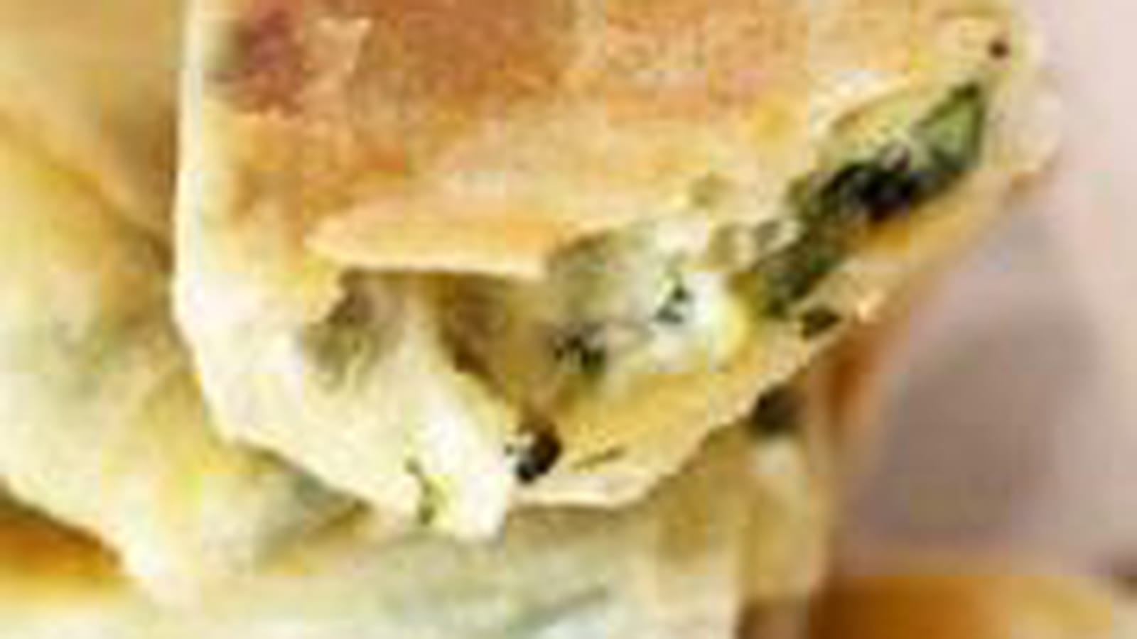 Bricks courgettes chevre et roquette