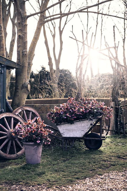 Un jardin fleuri en hiver ? C'est oui !