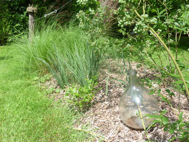 Un entretien respectueux de la nature