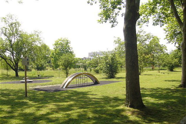 Les essences indig&egrave;nes