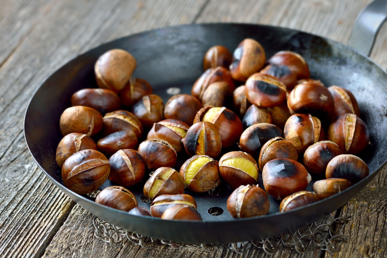 Marron ou châtaigne : différences, lequel est comestible et Châtaignes ou marrons : de la définition à la cuisson