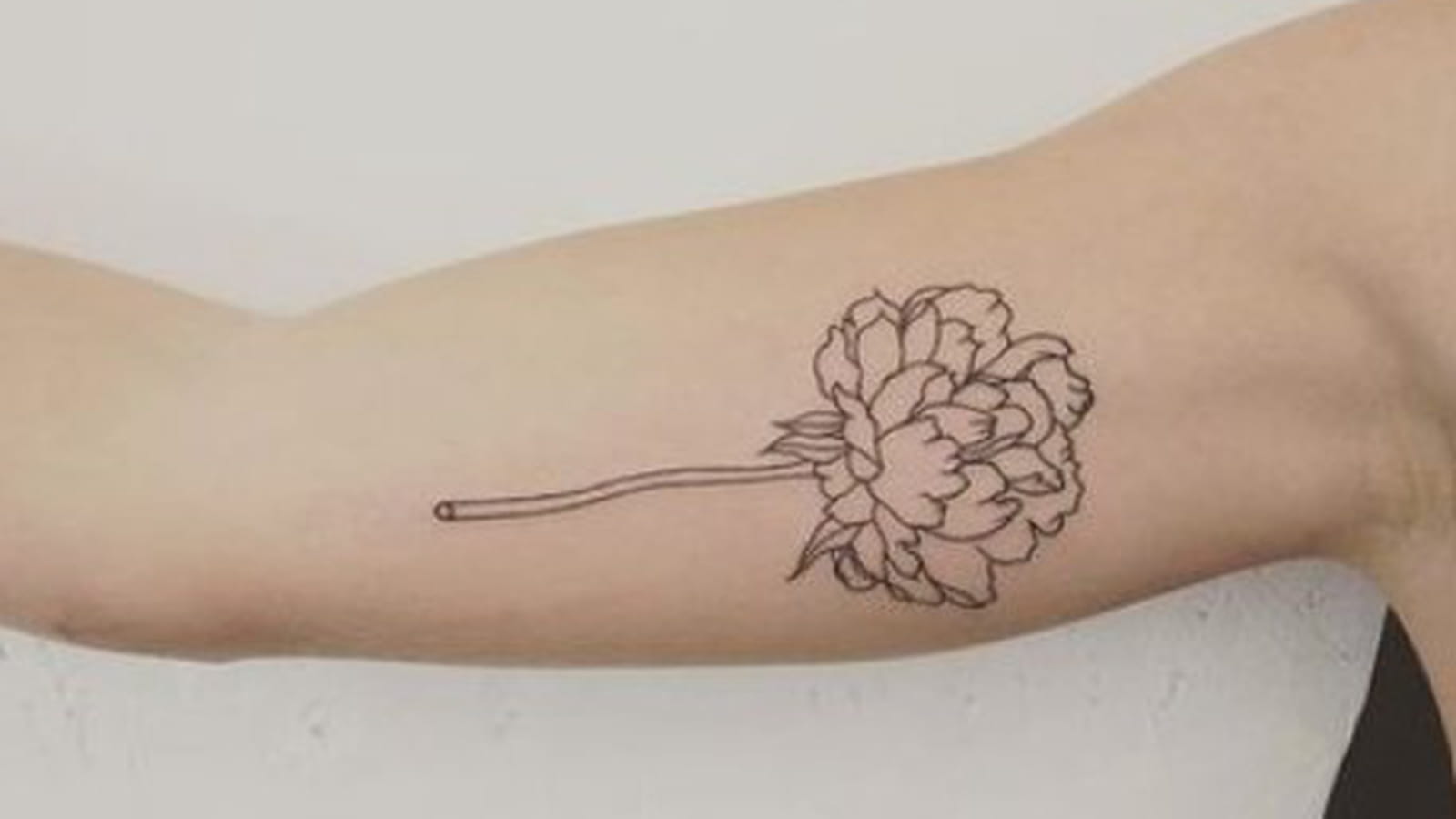 Pivoine minimaliste 