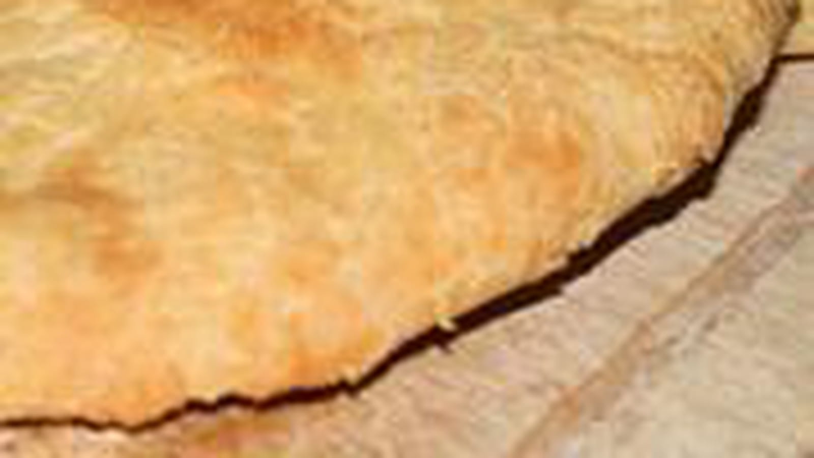 Naans