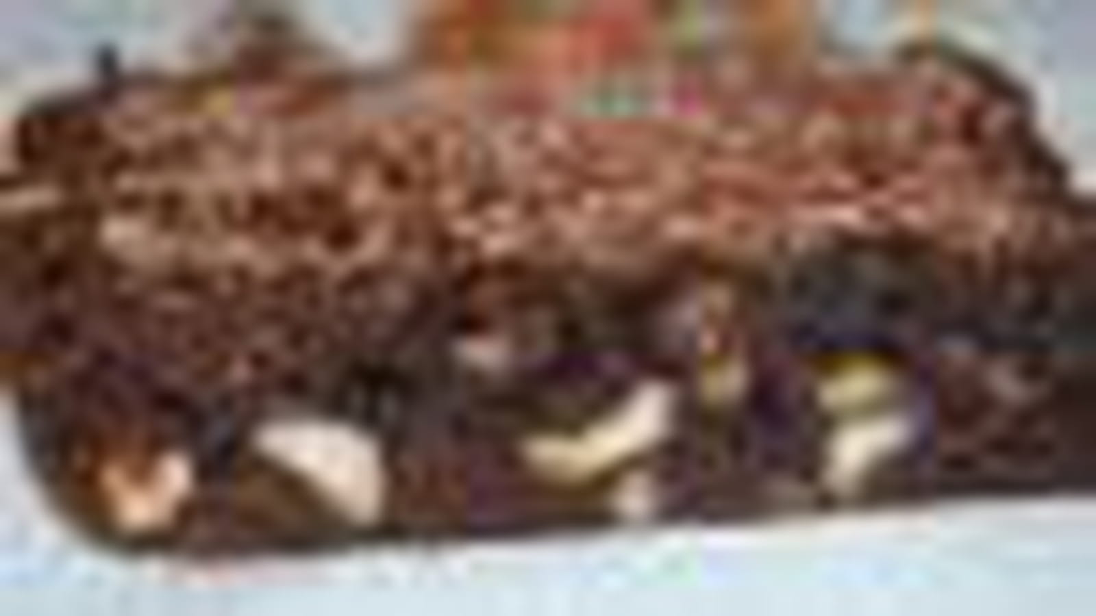 Brownie