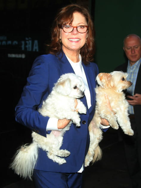 Susan Sarandon et ses deux chiens