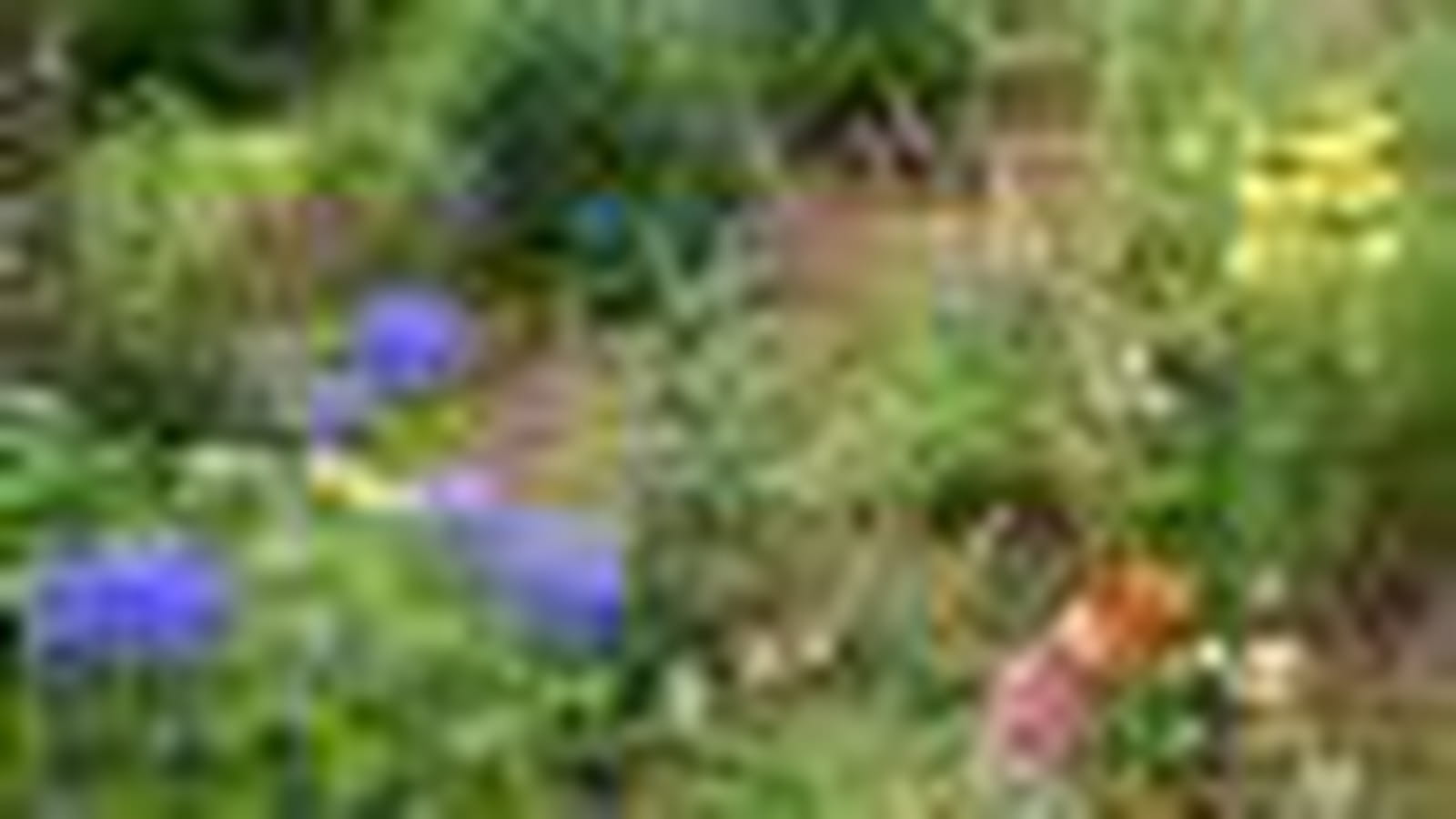 Jardin de Danyland