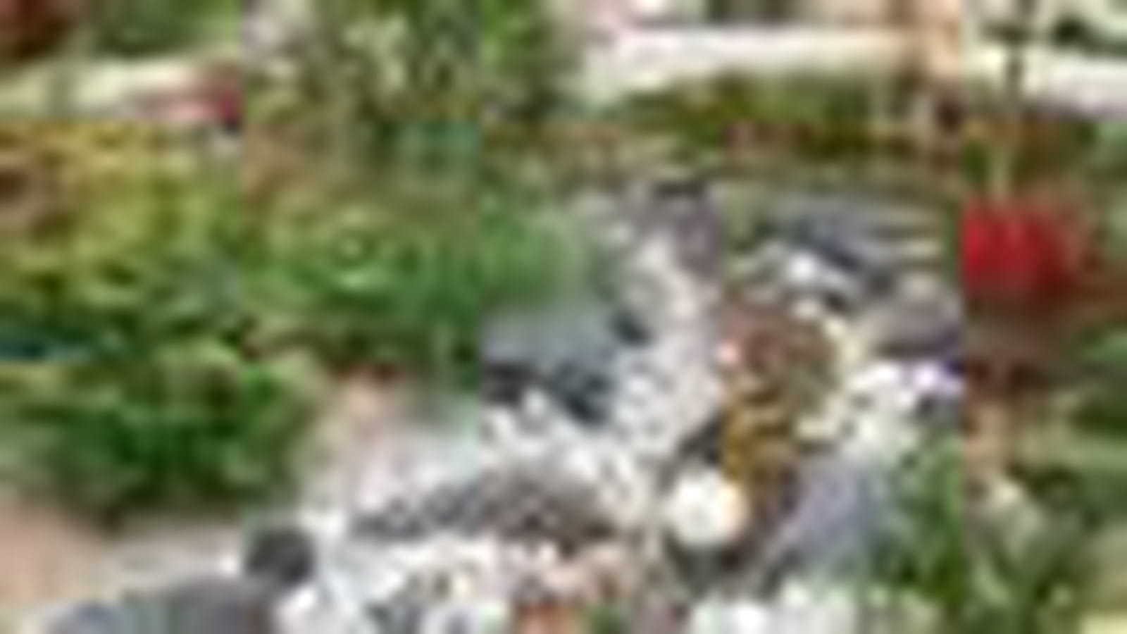 Bruits d'eau