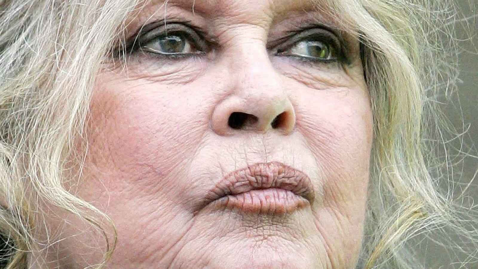 Brigitte Bardot 