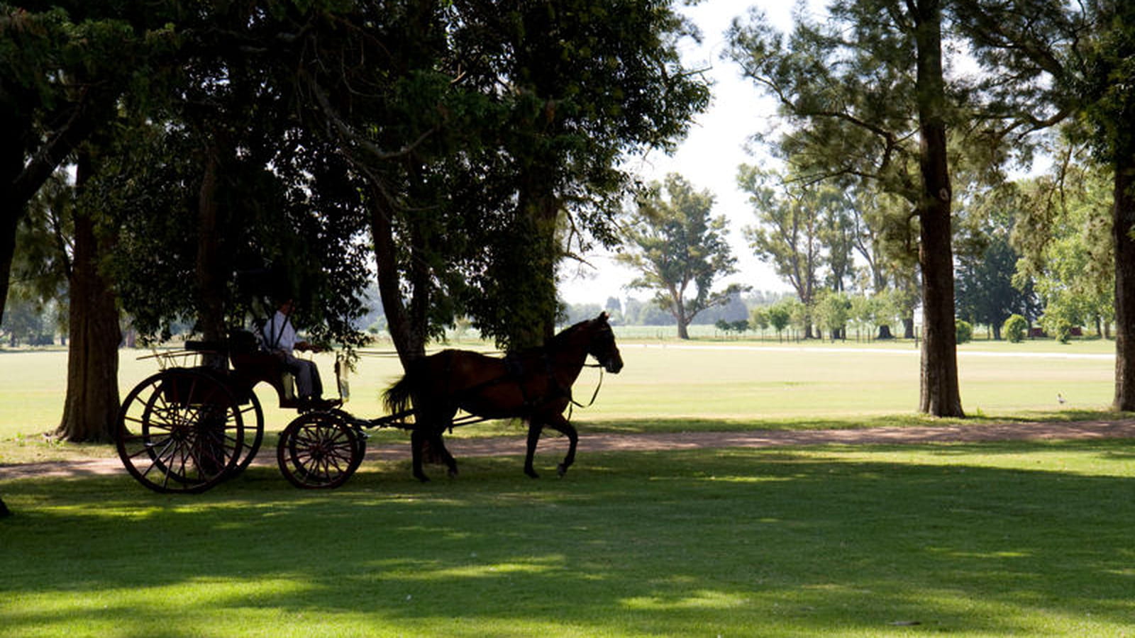 Parc