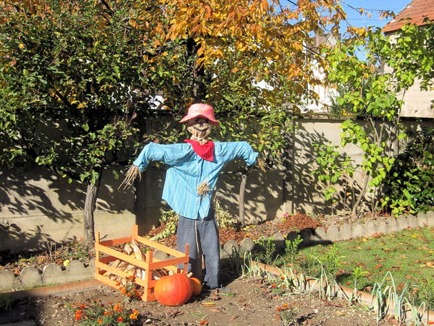 &Eacute;pouvantail automnal