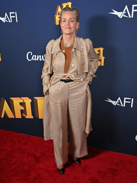 sharon-stone-avant-premiere-zurawski-v-texas