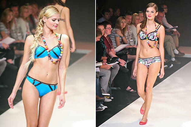 Dans un aquarium : un monde coloré