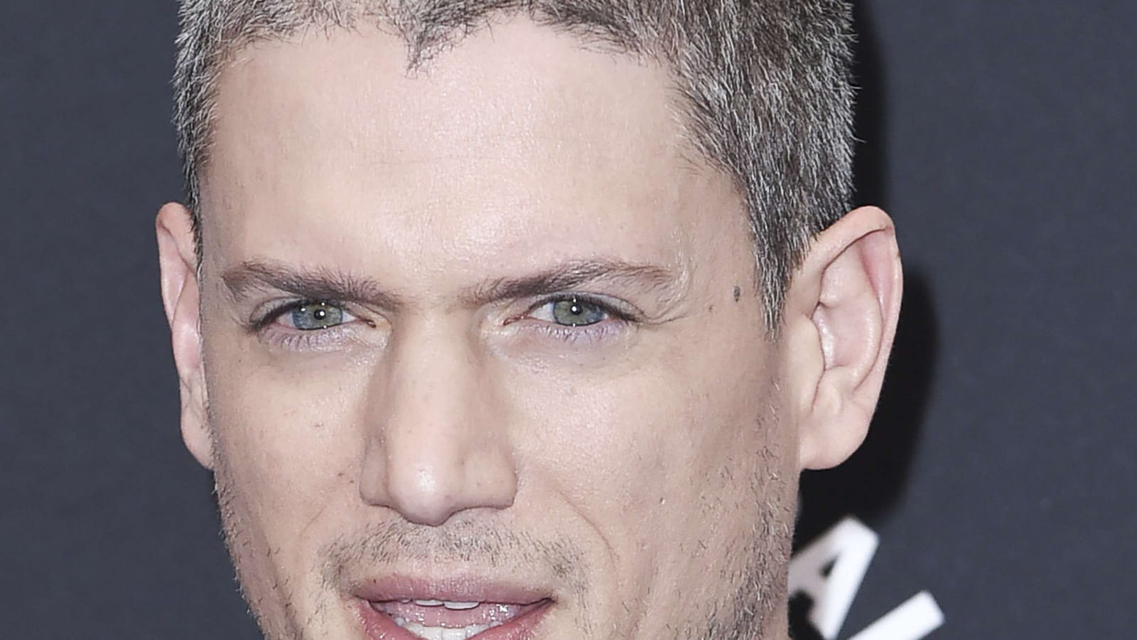 Wentworth Miller