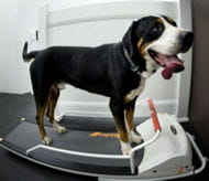 aleqm5iym p2uw5tsroydi6vijferelryg