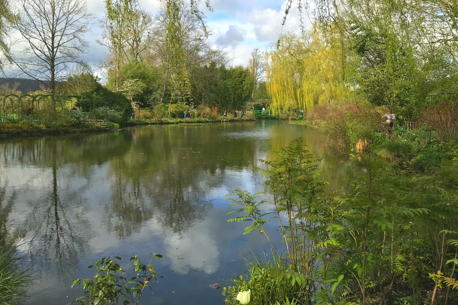 Quelles plantes adopter pour un jardin avec bassin ?