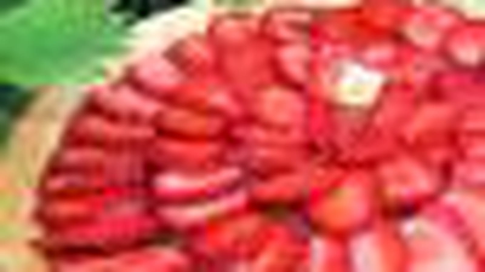 Fraises