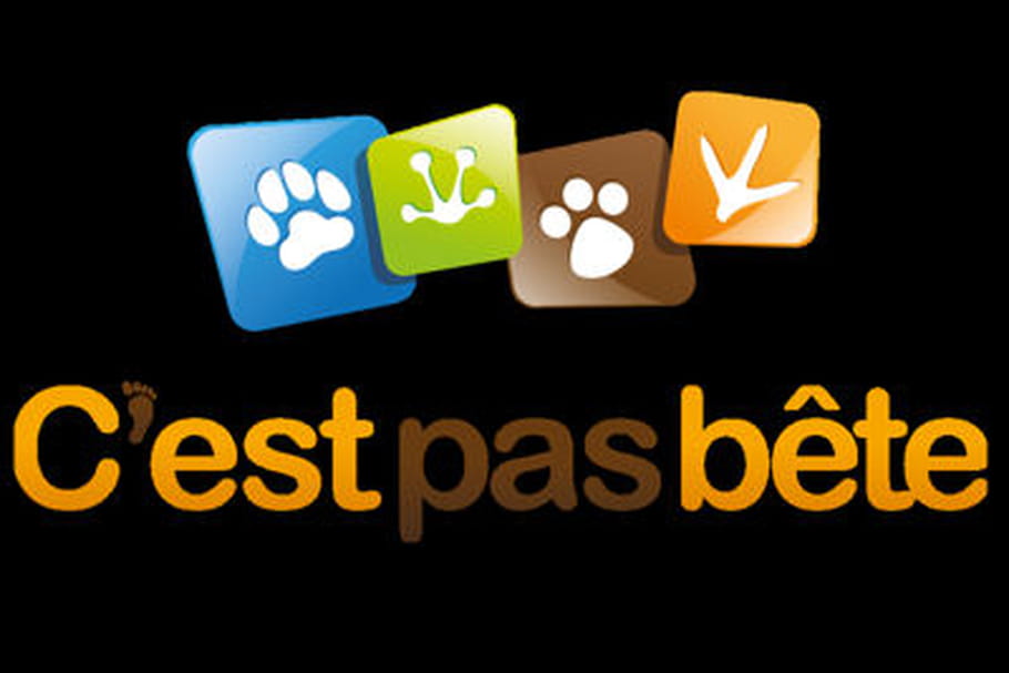 Cpasbête.com : au paradis du shopping animalier