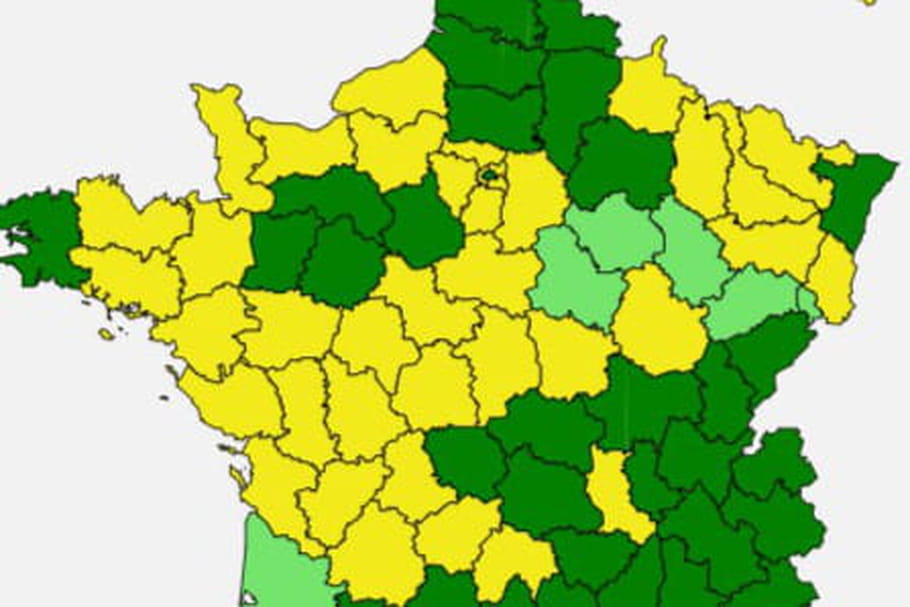 Carte des pollens 2020 : graminées en baisse, ambroisie en hausse