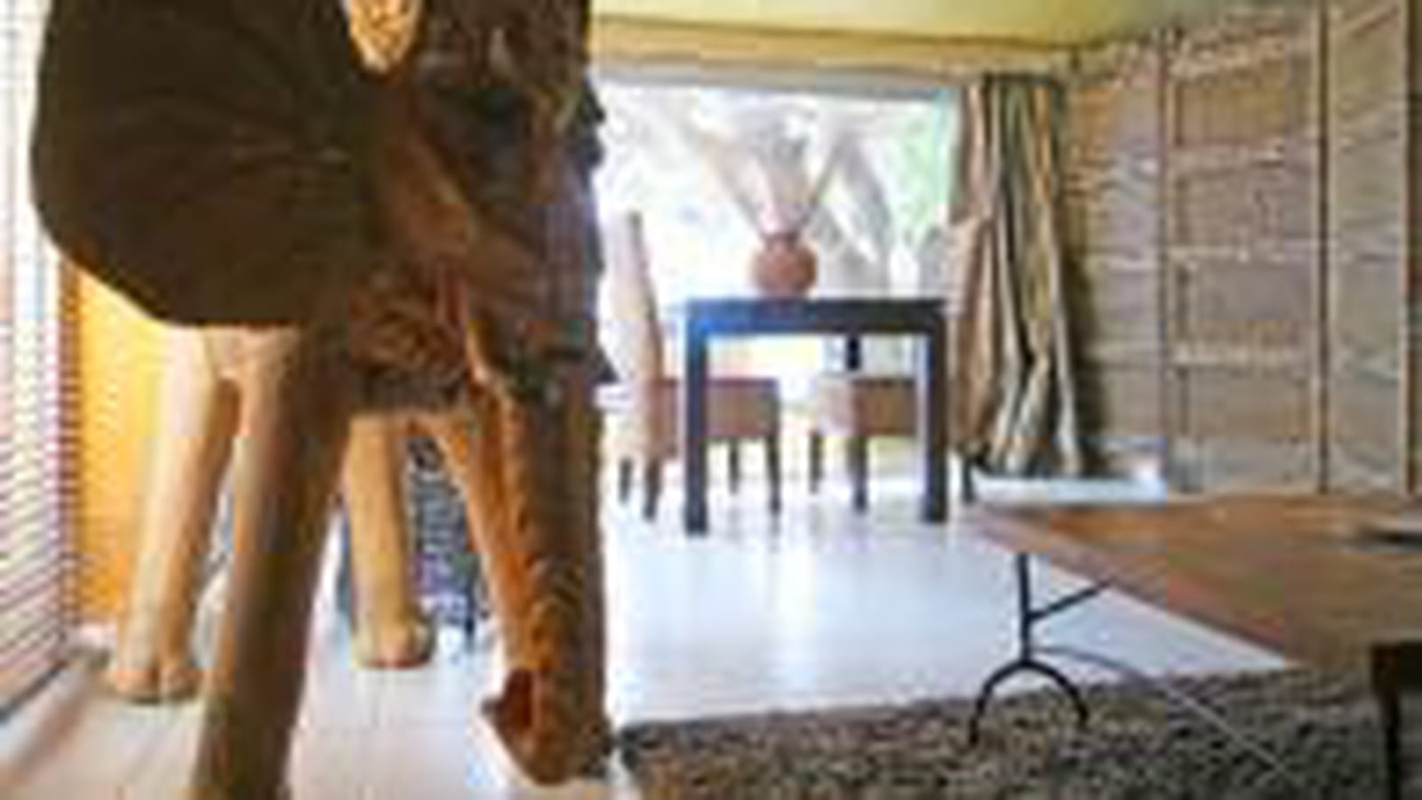Afrique